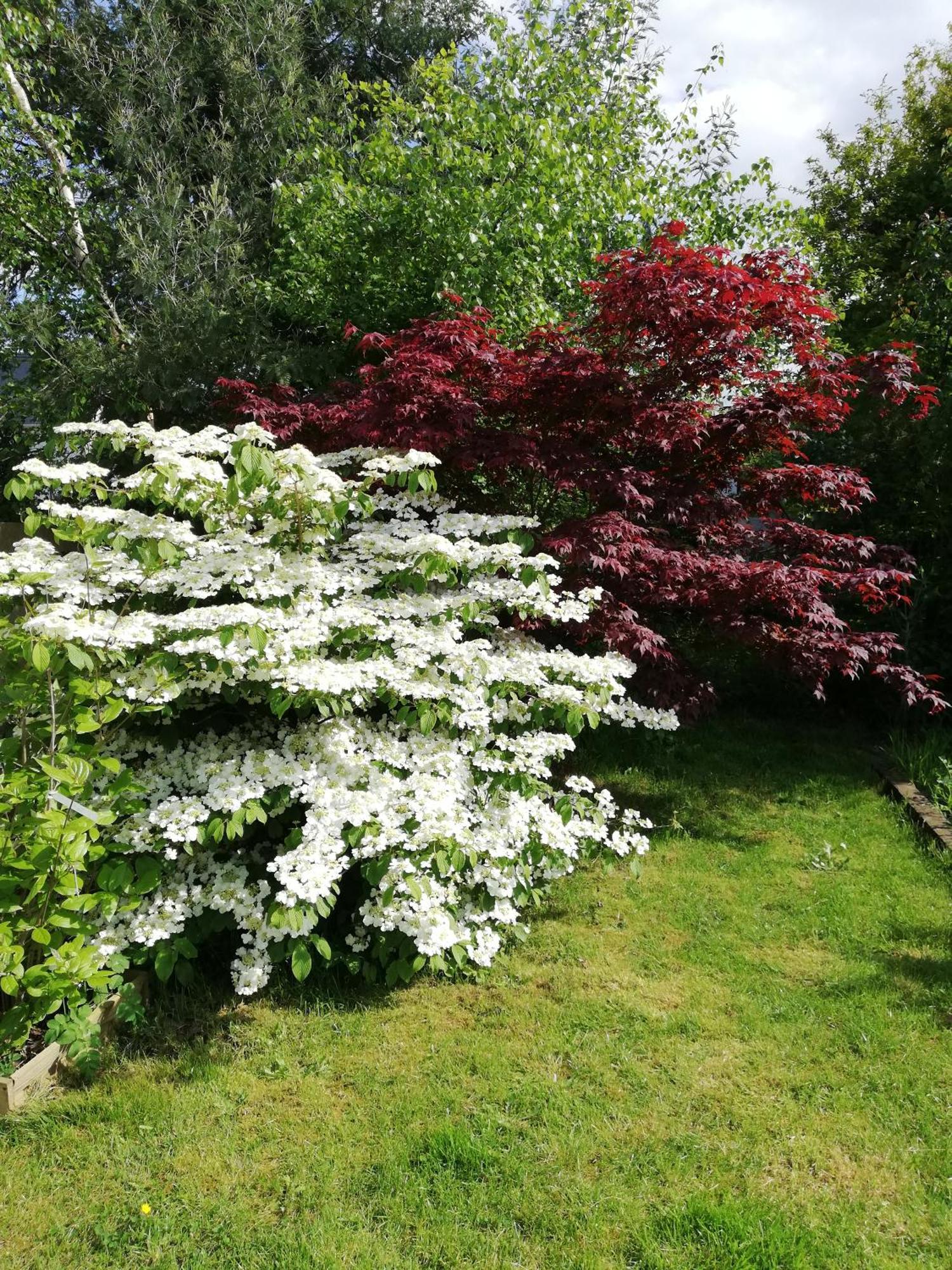 Au Coeur Du Jardin Villa La Boussac Eksteriør billede